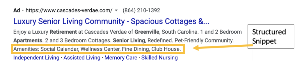 Screenshot of a Google Ad with a structured snippet extension