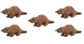 Beaver Animal Pack (9-7042)