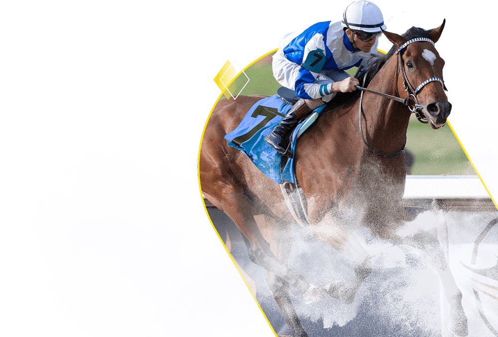 Bet on Live Horse Races FanDuel FanDuel