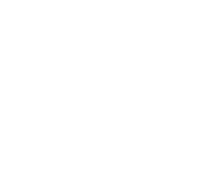 FanDuel Racing logo