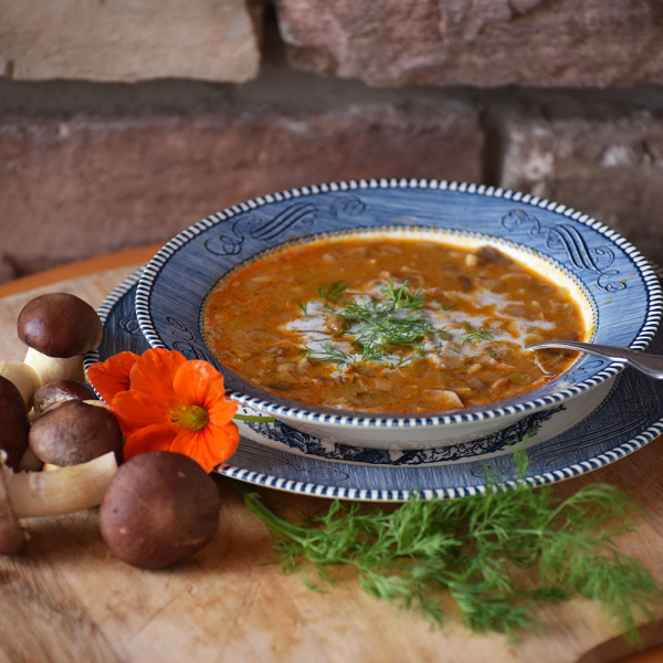 Wine Cap Mushroom Soup, Wine Cap Field & Forest Products