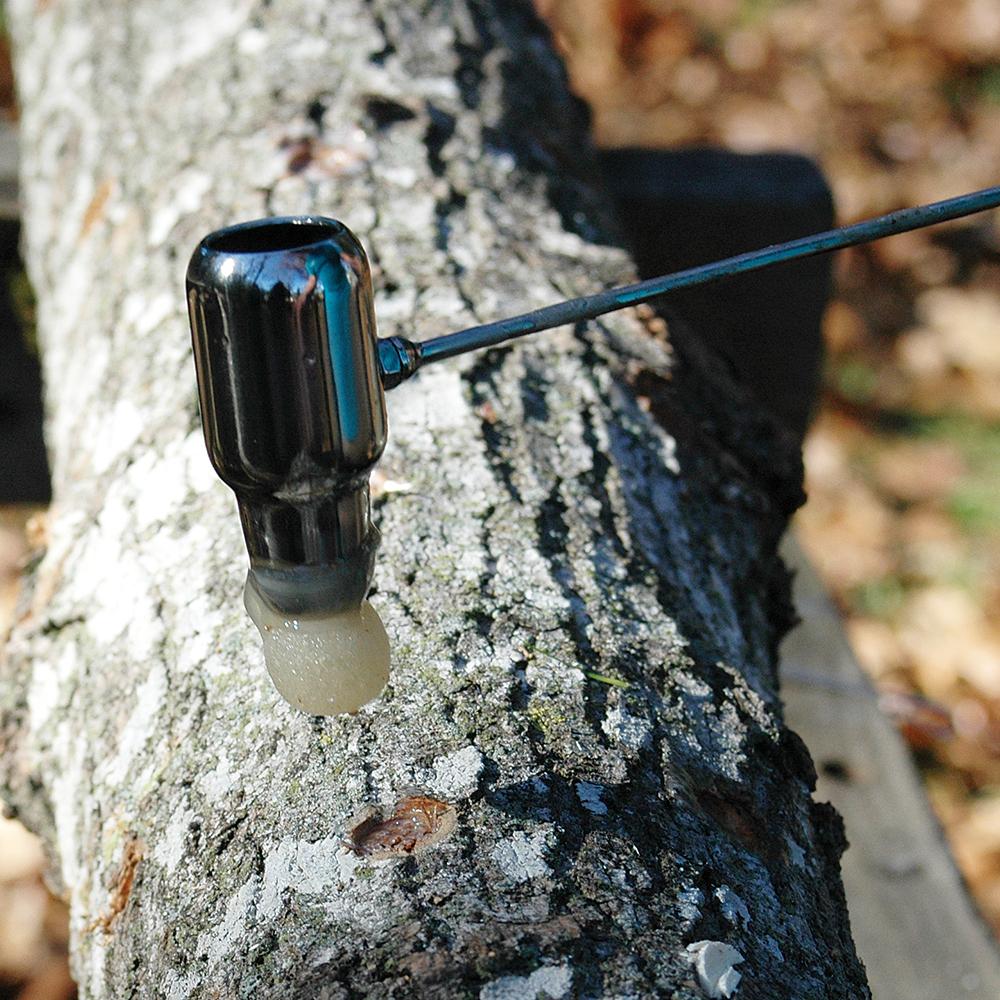 Okuda Wax Applicator, Okuda Precision Tools Field & Forest Products