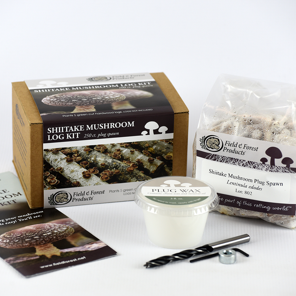 Shiitake Mushroom Organic Plug Spawn Starter Kit for logs