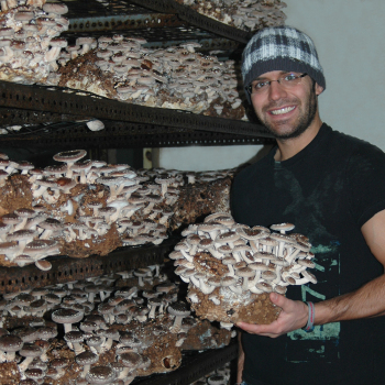 How To Make Ready To Fruit Mushroom Blocks Instructions