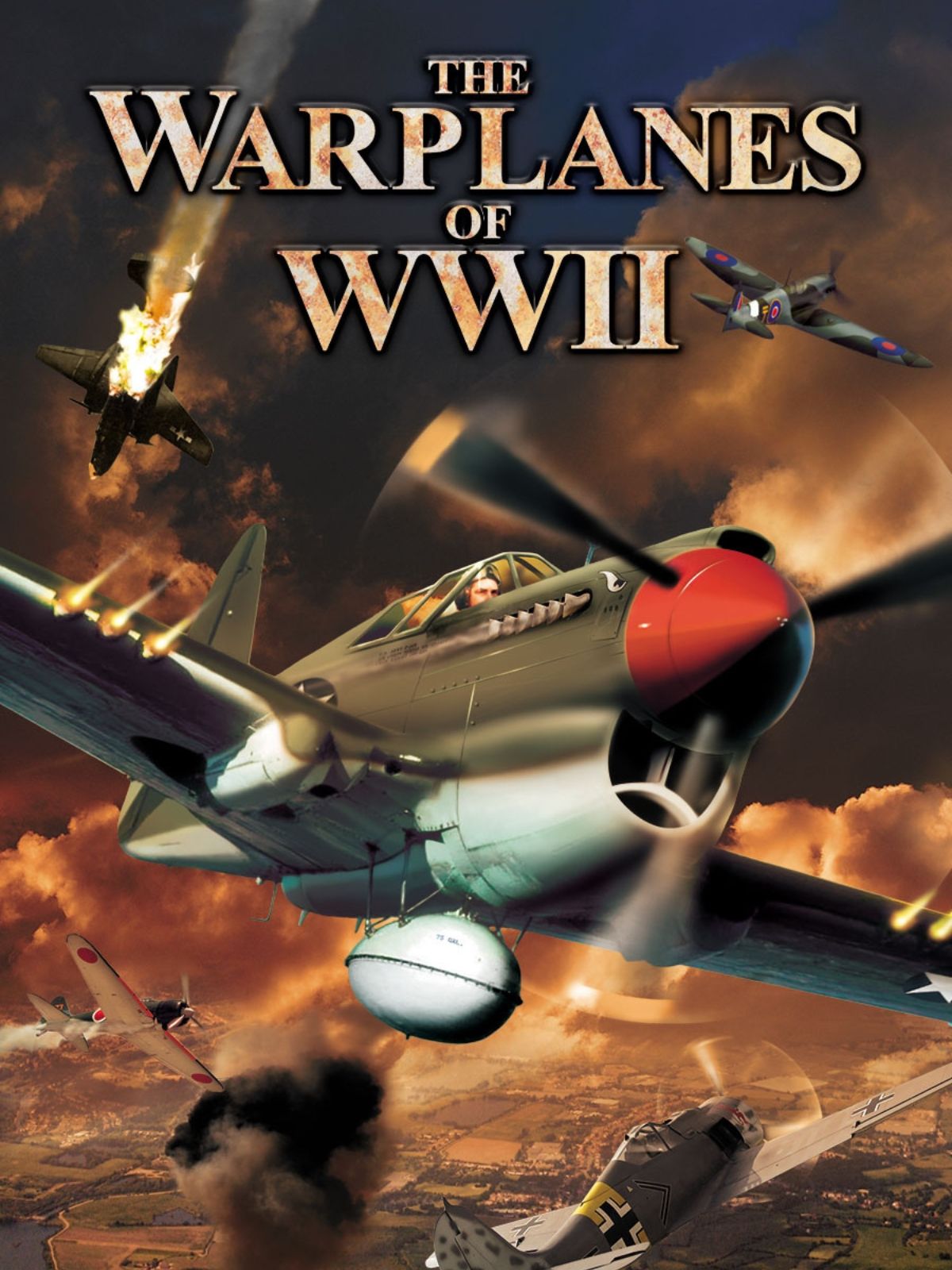 WARBIRDS OF WWII