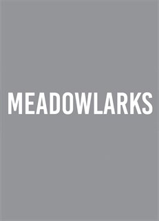 Meadowlarks