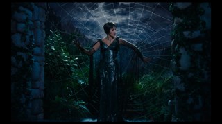 Kiss of the Spider Woman