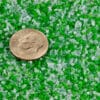 FAT-SL-Green-&-White,-medres