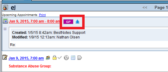 Client Activity Log with appointment icons