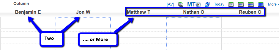 Calendar view with More button