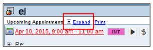 Expand all appointments for client