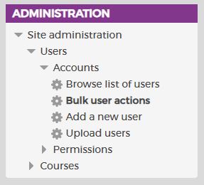 active users now isolated