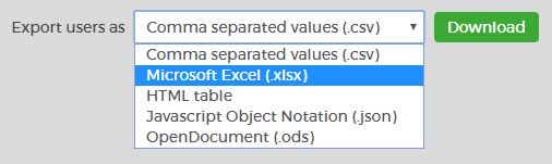 choose the Excel format