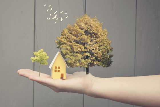 Ondas electromagnéticas: ¿Malas para la salud?