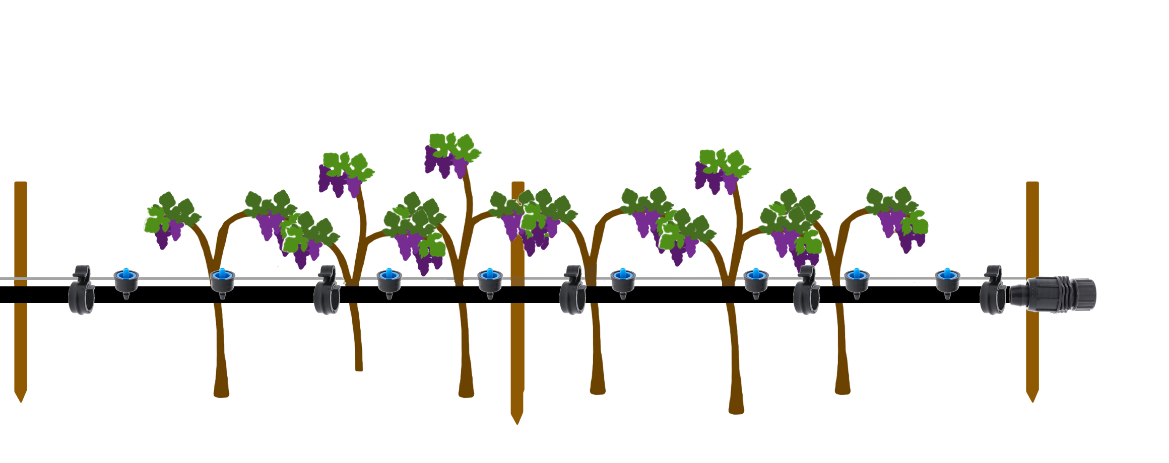 Vineyard Kit Selection Guide Drip Depot DIY Irrigation Support