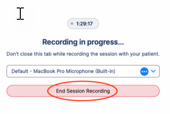 Videra Sidekick interface with 'End Recording Session' button.