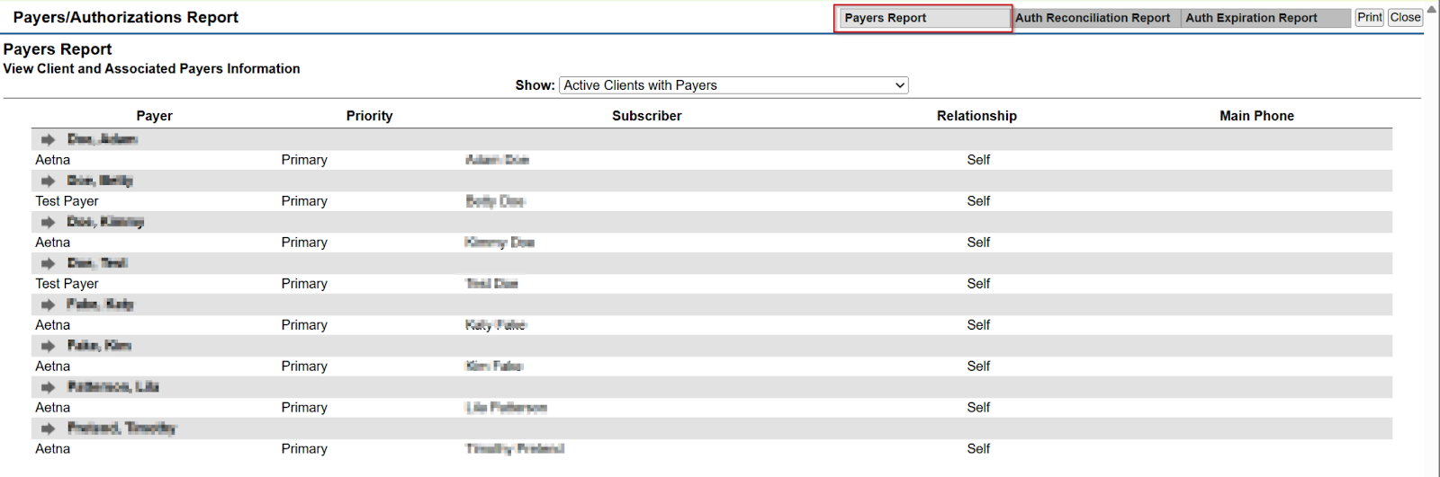 Payers Report screenshot