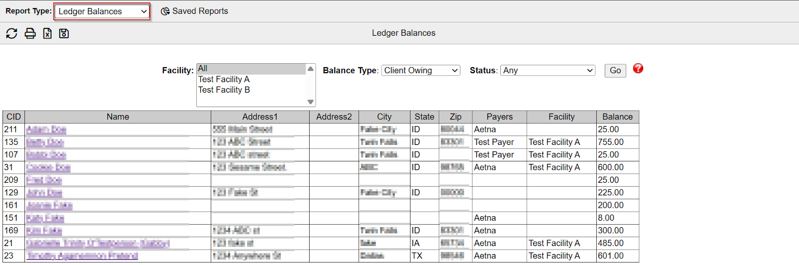 Ledger Balances report screenshot