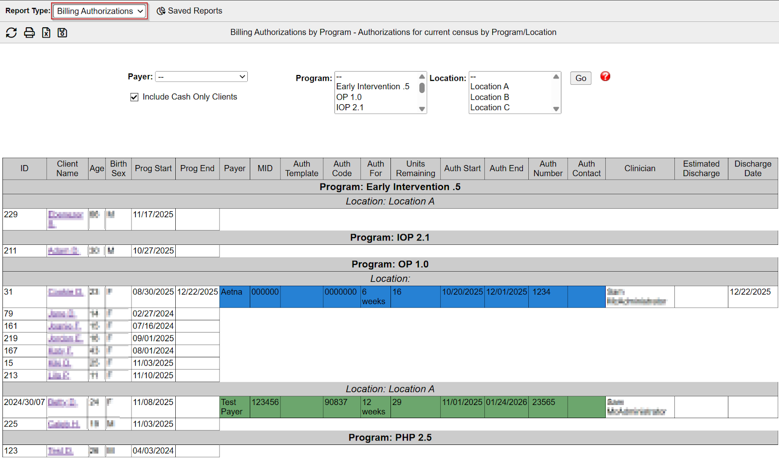 Billing Authorizations by Program report screenshot