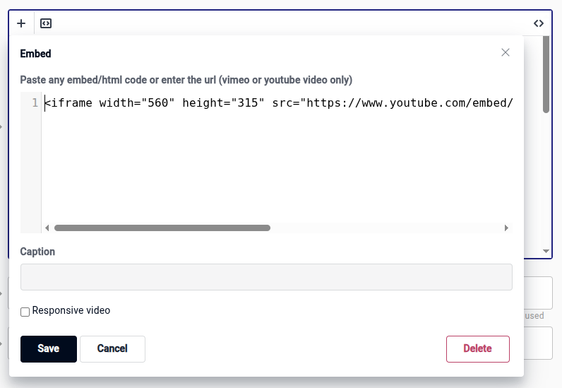 langify rich-text-editor showing the text field where you can enter the embed snippet of a video