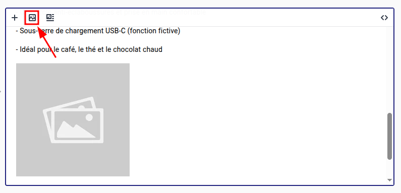 langify rich-text editor with image-specific options