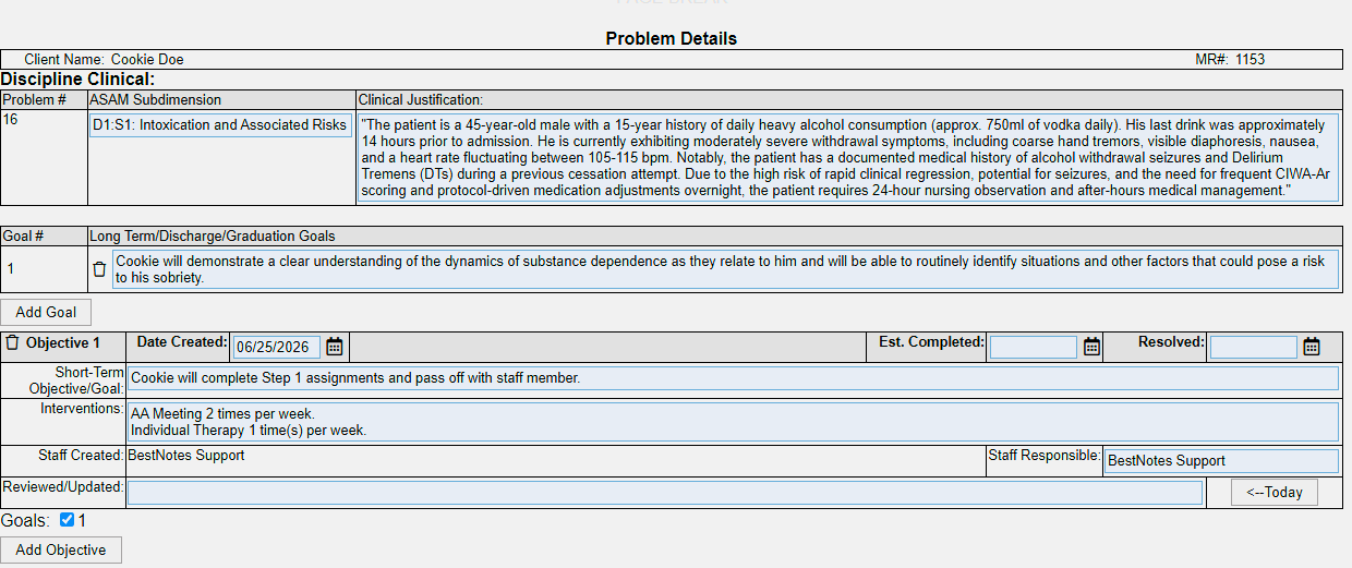 Treatment Plan problem builder with ASAM code system selected