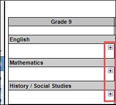 Screenshot of the plus symbol on the transcript
