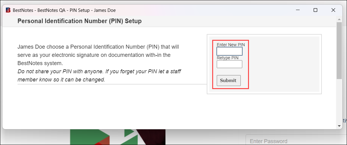 Client PIN entry screen