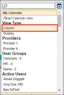 Screenshot of calendar drop-down with Column selected