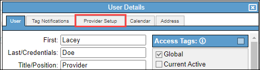 Provider Setup tab selected