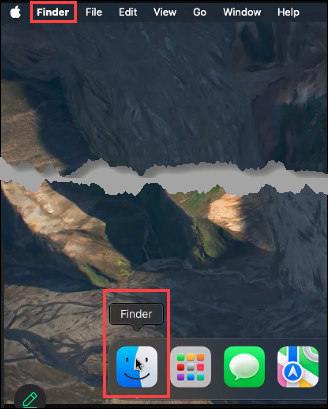 Finder icon