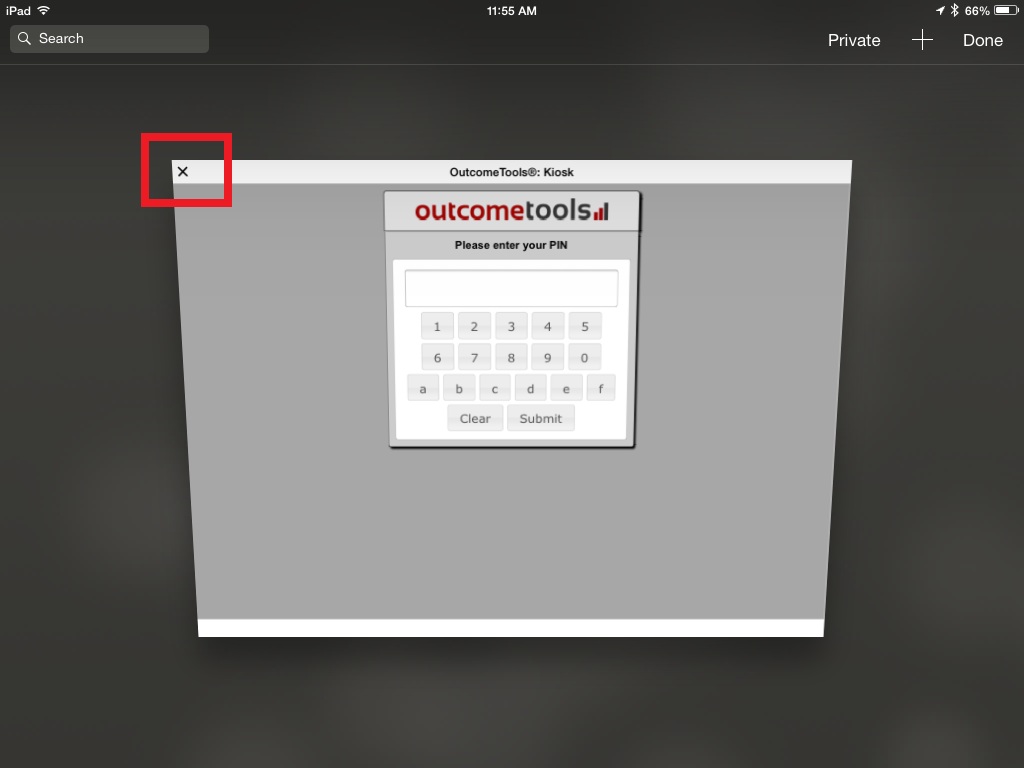Guided Access options