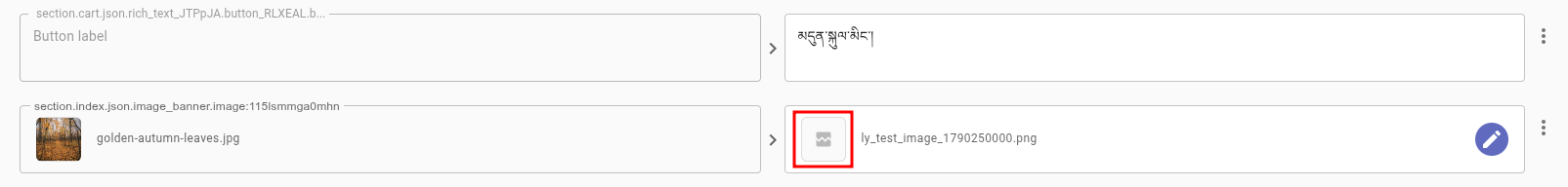 theme section with highlighted example of a broken image
