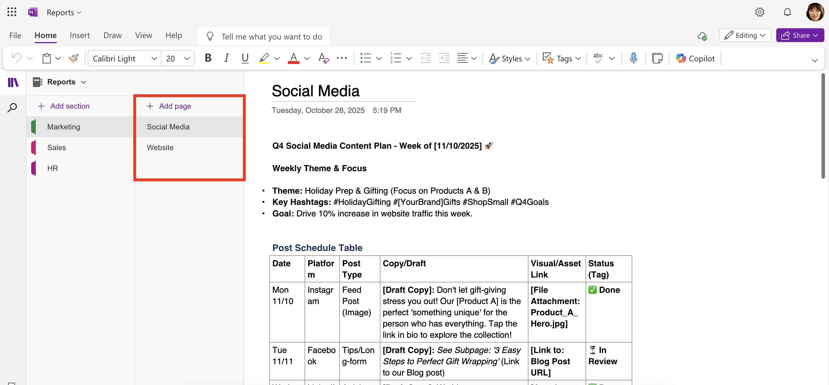 sample OneNote notebook pages