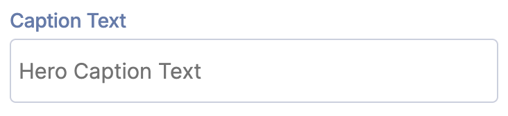 Caption Text