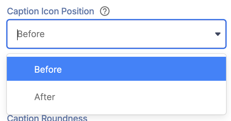 Caption Icon Postion