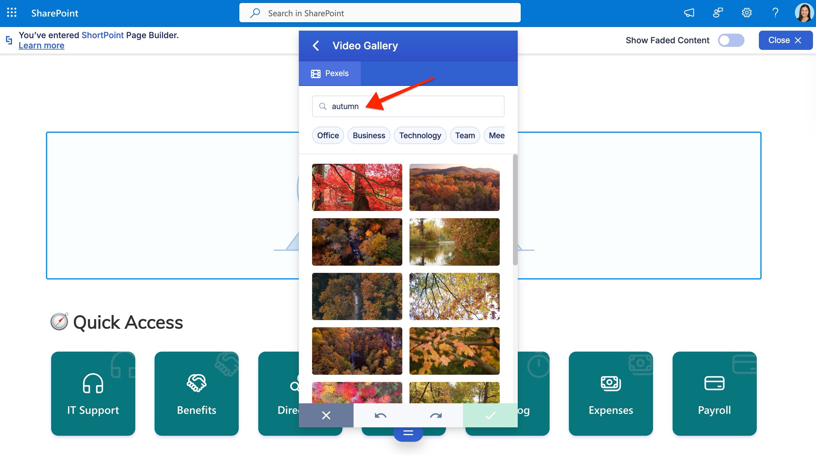 search for a photo or video