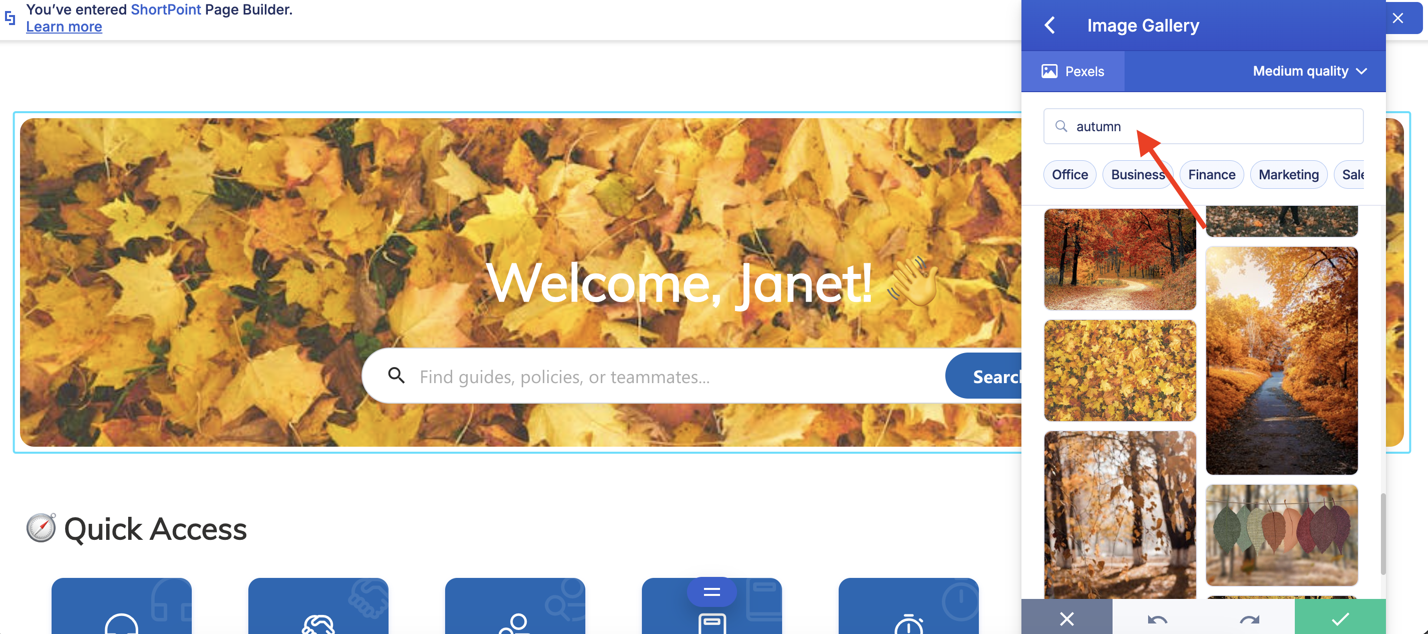 search for a photo or video