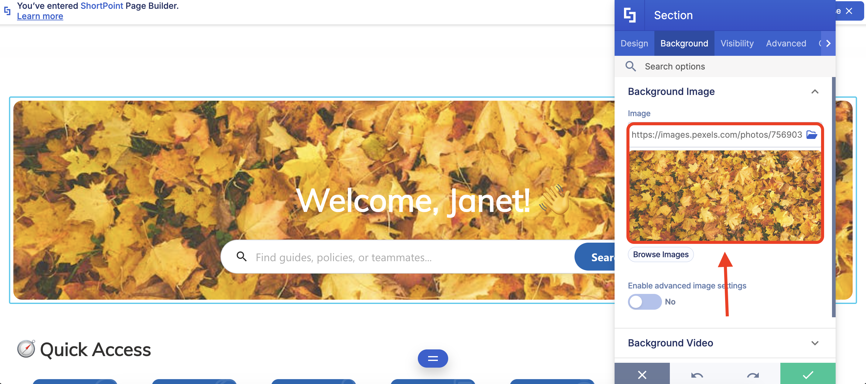 URL added to the design element settings