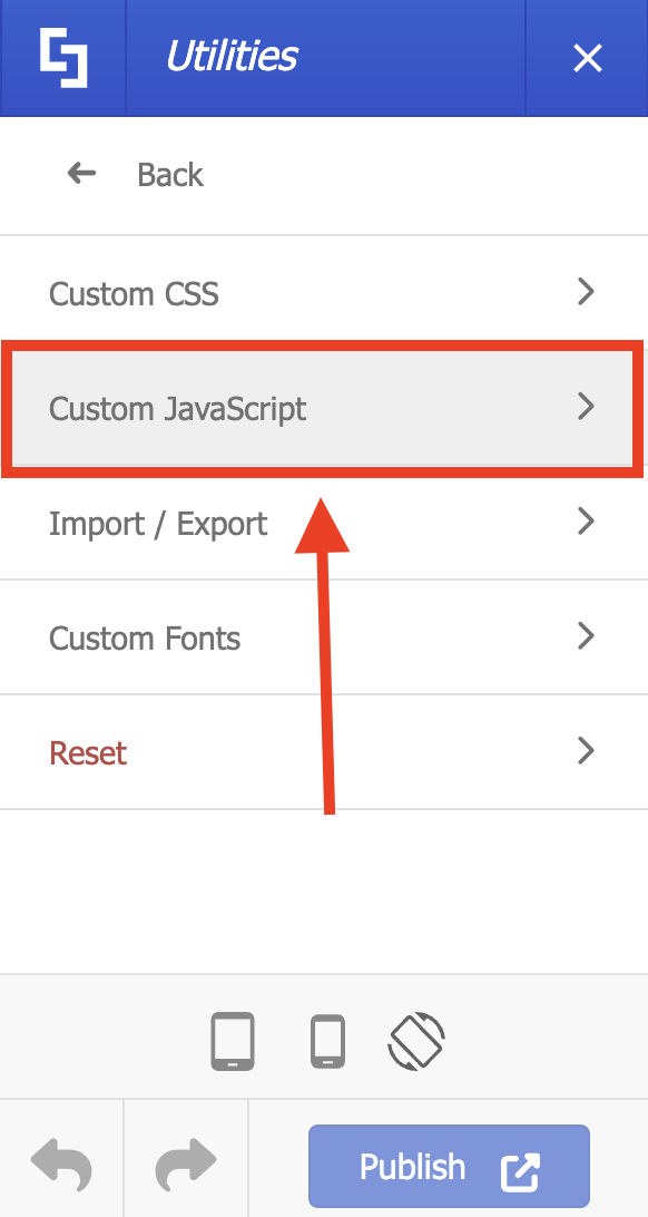 Custom JavaScript