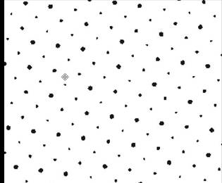 A black and white pattern
Description automatically generated