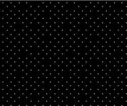 A close up of a white background
Description automatically generated