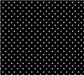 A black and white background with small squares
Description automatically generated