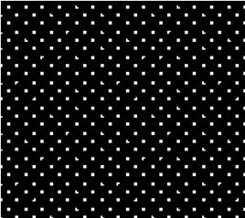 A black and white background with small squares
Description automatically generated