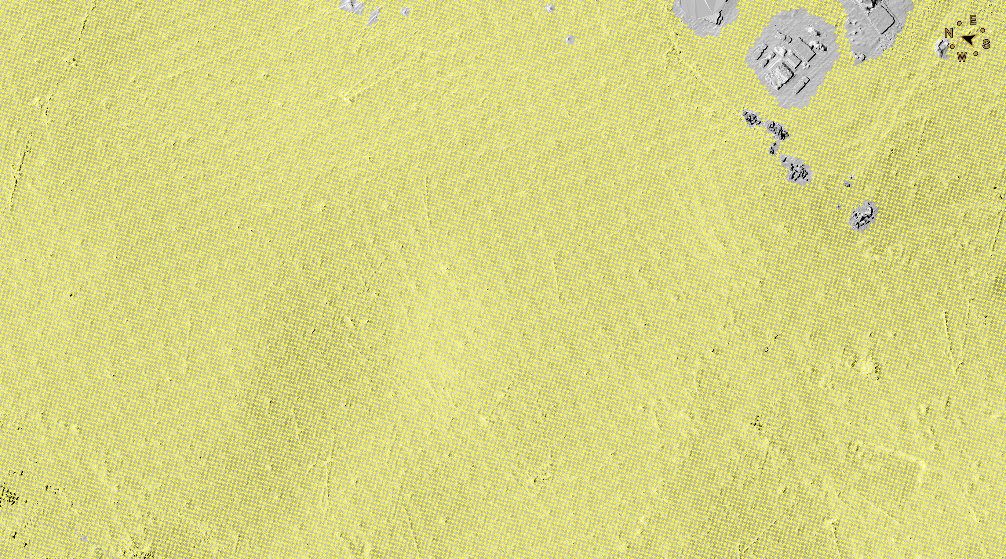 Point grid created at 1 m density. Points are shown in yellow.