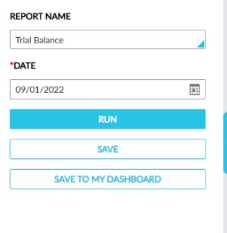 Figure 1: Trial Balance report configuration (default settings)
Figure 1: Trial Balance report configuration (default settings)