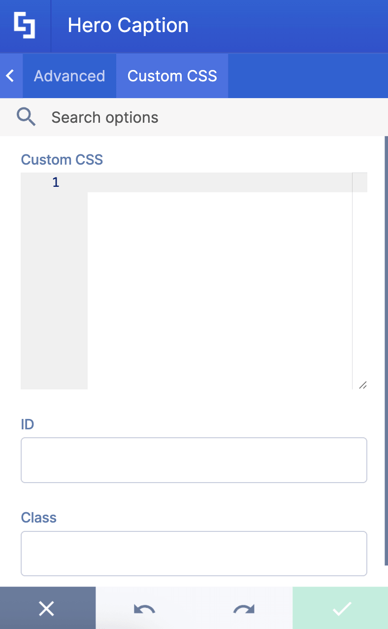 Inserting custom CSS styles, HTML, or JavaScript fields inside the page builder element
