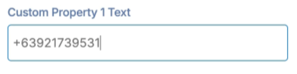 Entering a phone number value directly into the Custom Property 1 Text box