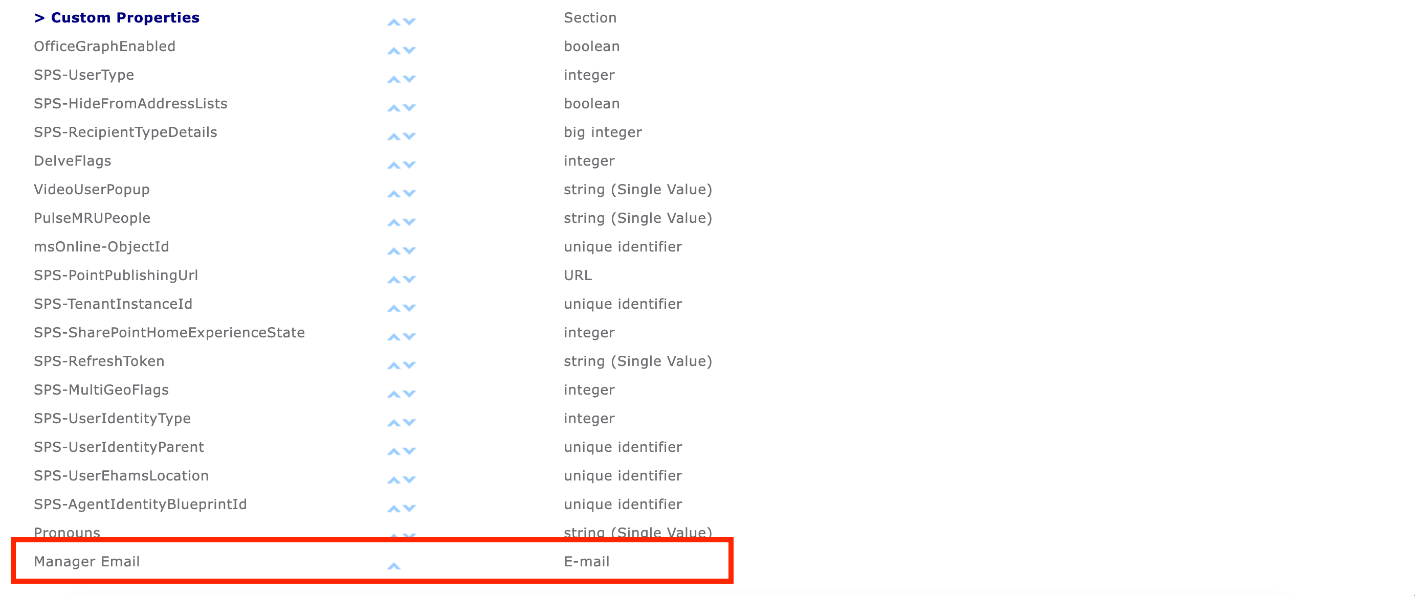 Verifying that Manager Email appears under the Custom Properties section
