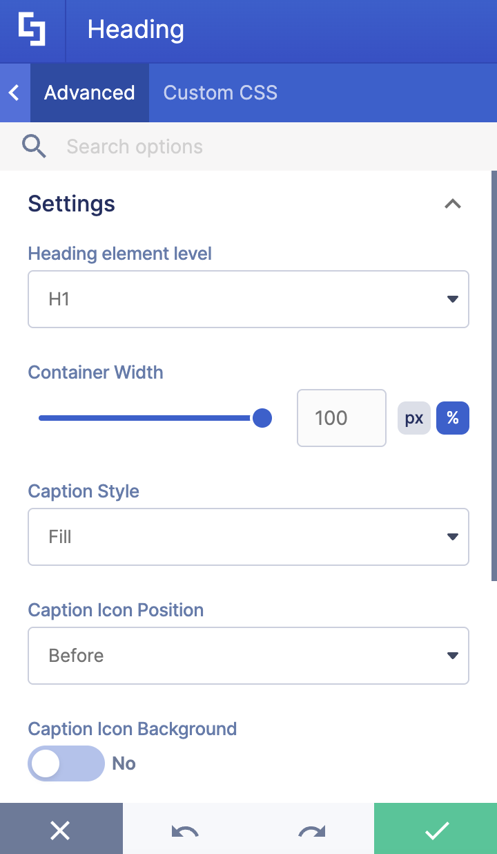 Accessing container width and caption style settings inside the Advanced tab